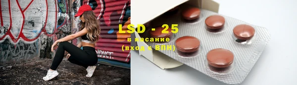 гашик Алзамай