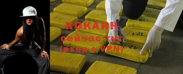 гашик Алзамай