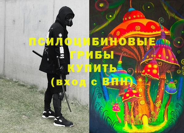гашик Алзамай
