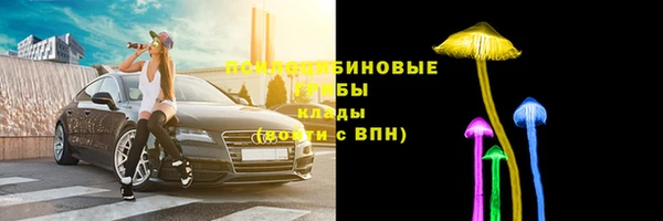 гидропоника Алексеевка