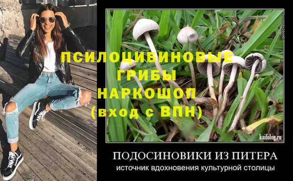 гидропоника Алексеевка